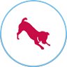 A red dog jumping in the air on top of a white circle.