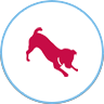 A red dog jumping in the air on top of a white circle.